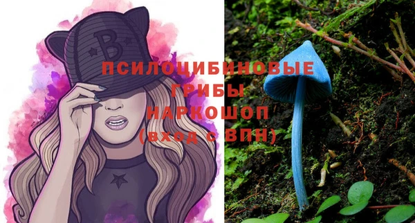 стафф Лабытнанги