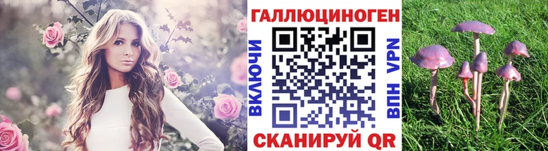 Купить  Луховицы  Галлюциногенные грибы Cubensis 
