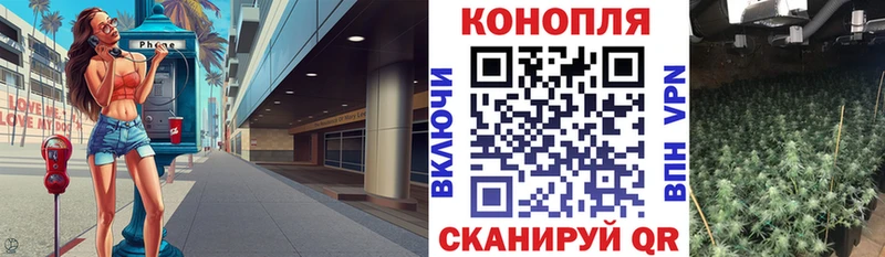 Купить  Луховицы  Каннабис OG Kush 